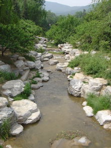 水泥假山設(shè)計(jì)的作用