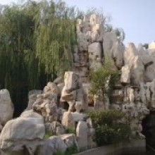 南京市浦口區清水園工藝盆景銷售中心 專業打造假山與園林景觀